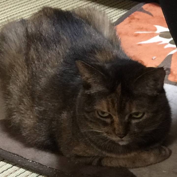 Db39529a b5da 4127 af9a fd0432496409