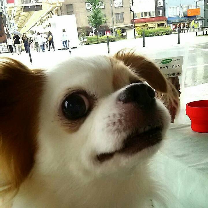 Db3acf7b 7baf 408b 9f82 80274017d3e1