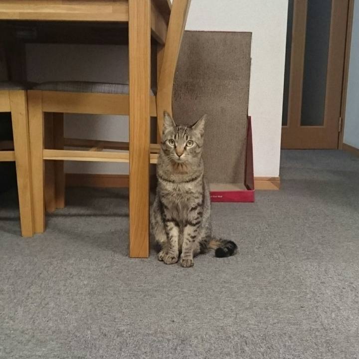 Db3ade1f e940 458d a09e ba7cedefcec2