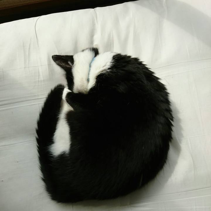 Db3bbc85 3559 4934 b1d7 82613eac8447