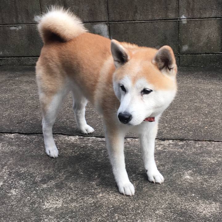 Db3c2ac8 be12 49de 86a2 6b023057d1dd