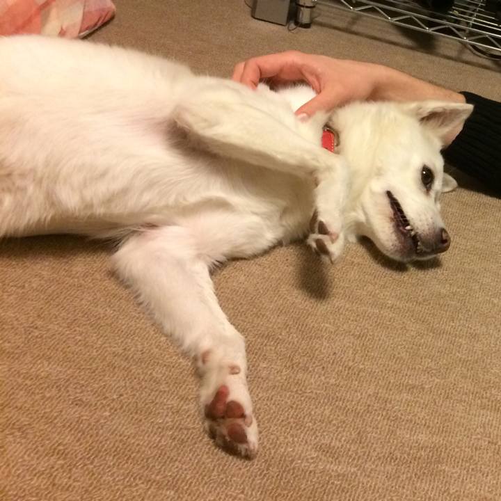 Db3c8e51 2809 4ee1 b216 fc79836a2822