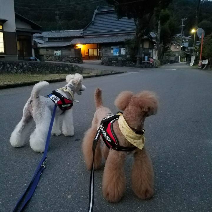 Db3ced78 466a 400e 890b 1a6fc95a662d