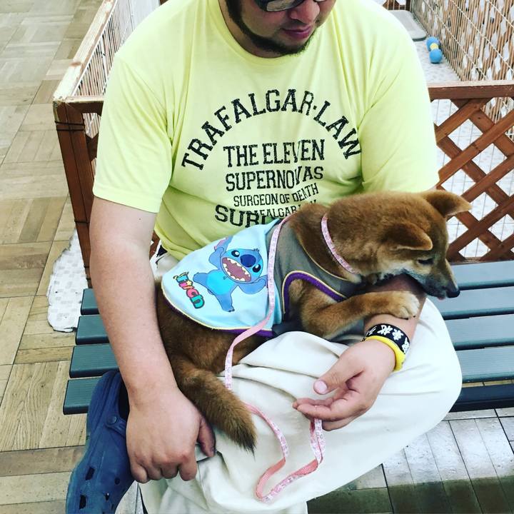 Db3d1fef 8874 488f b774 6dd218253a19