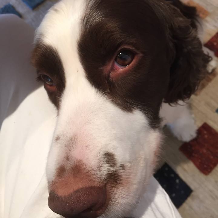 Db3d430d f79e 471d a799 a4527b817908