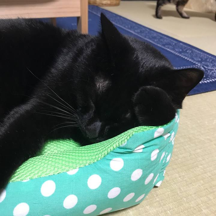 Db3d43f0 d5be 4792 a0ff e76f943089a0