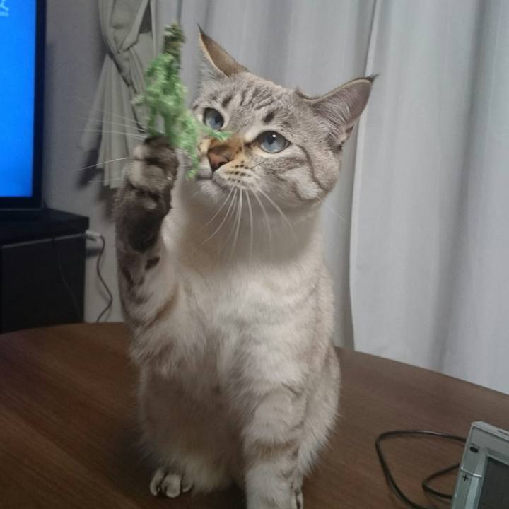 Db3d89b9 4d74 4e56 8035 44fe42f04145