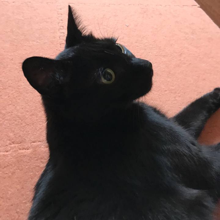 Db3e7eb3 e208 463e 8169 db2371a73bbc