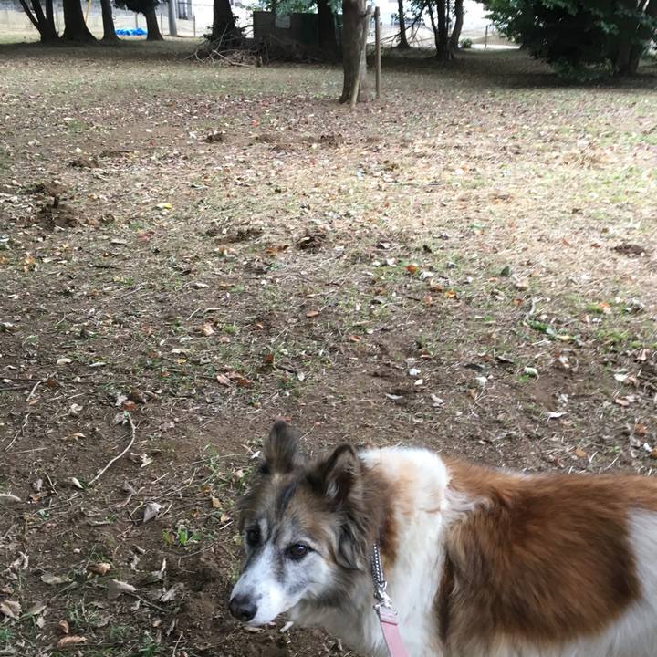 Db3e8ef0 48e4 49b0 9bed af55c87f27f7