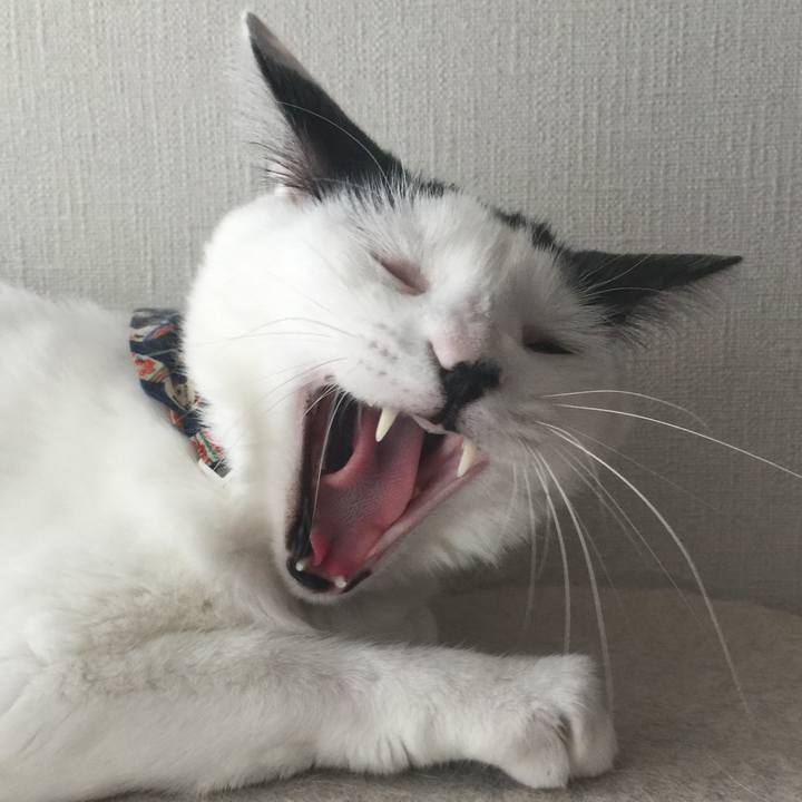 Db3ee9a8 fb39 44ba 8739 104518a2828e