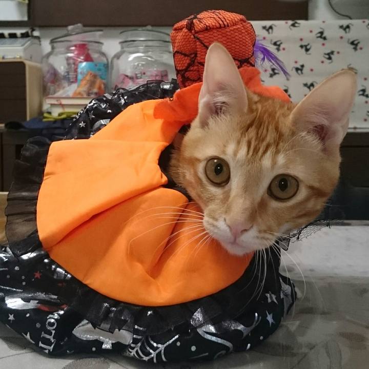 Db3f49c6 b723 43ef b4d1 206d08ac395c