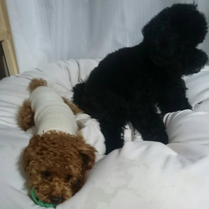 Db410692 4916 4fa9 b2d3 ec3197cd017d