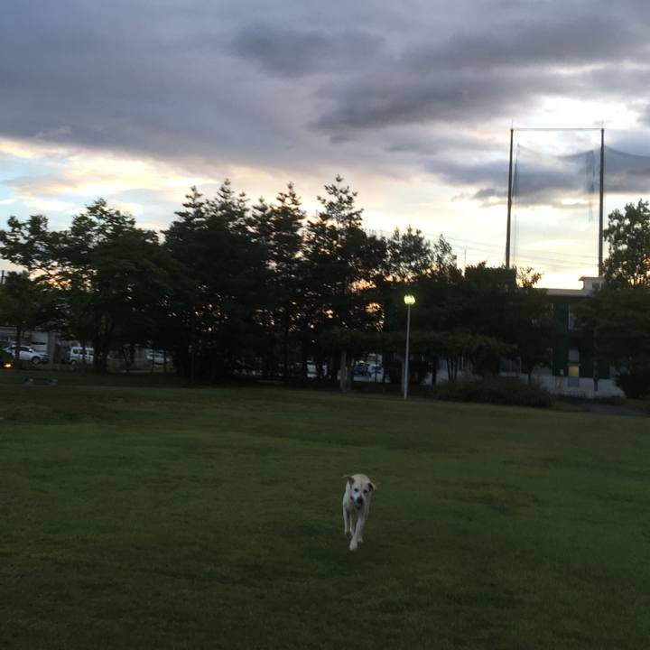 Db410bc6 d6e3 40a0 9392 0e0ae447ee25