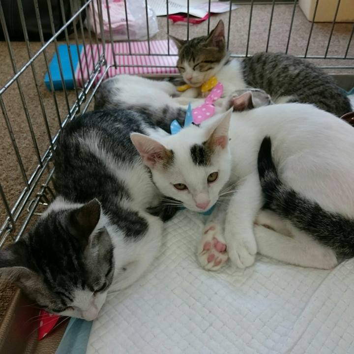 Db41765e dcf0 404b 99b7 bea587d79ada