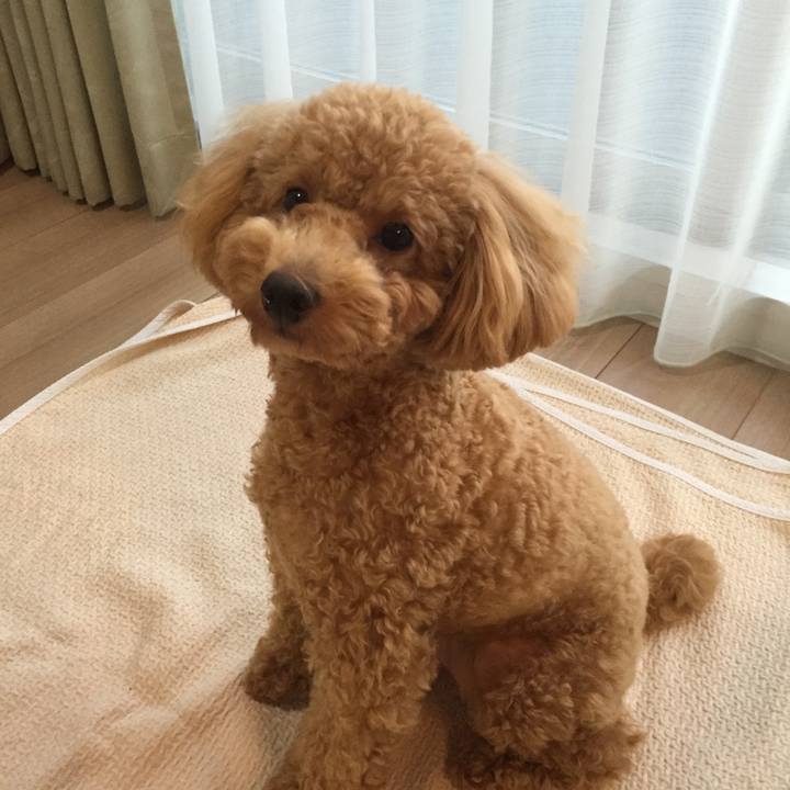 Db428d2e bd4b 4ef7 93f1 fc2fe6322cf7