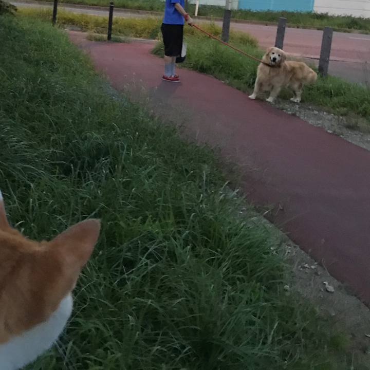 Db43afb9 95bb 42dc 811c 0ac569b00b7f