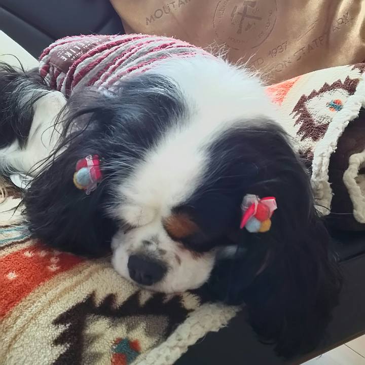 Db4427ec 868a 4ec0 b47f 219e52265f75