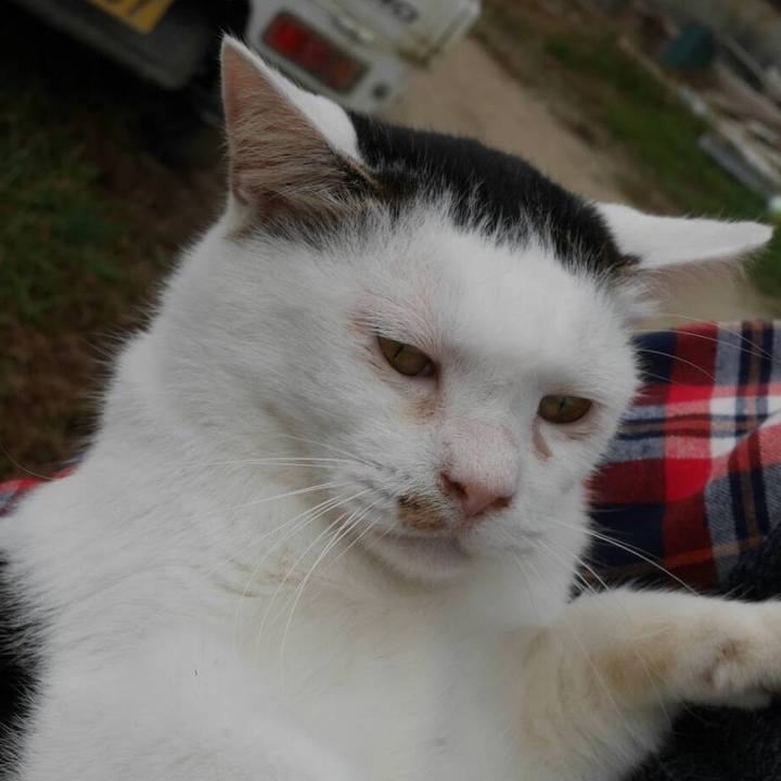 Db44644f 8dbc 496a 9b60 976a67191114