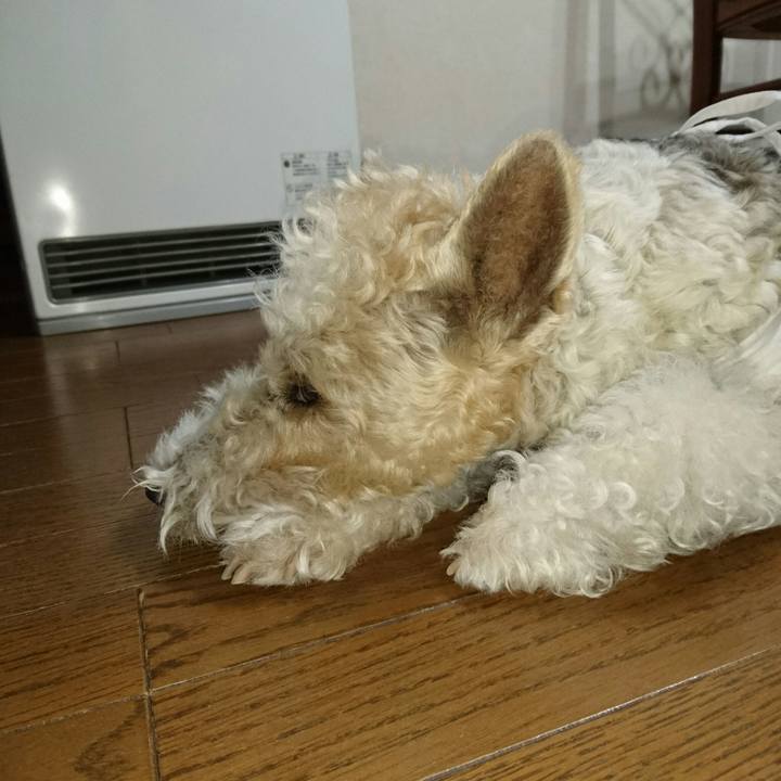 Db44bdbf 511b 4d55 996a 576448ba2869