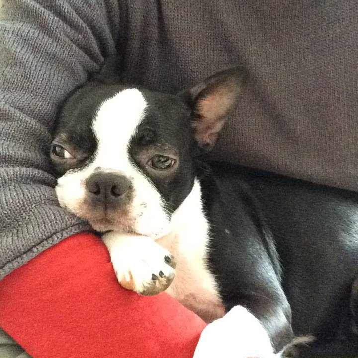 Db45bb93 b3f5 44f0 8a1e 9f4611139a93