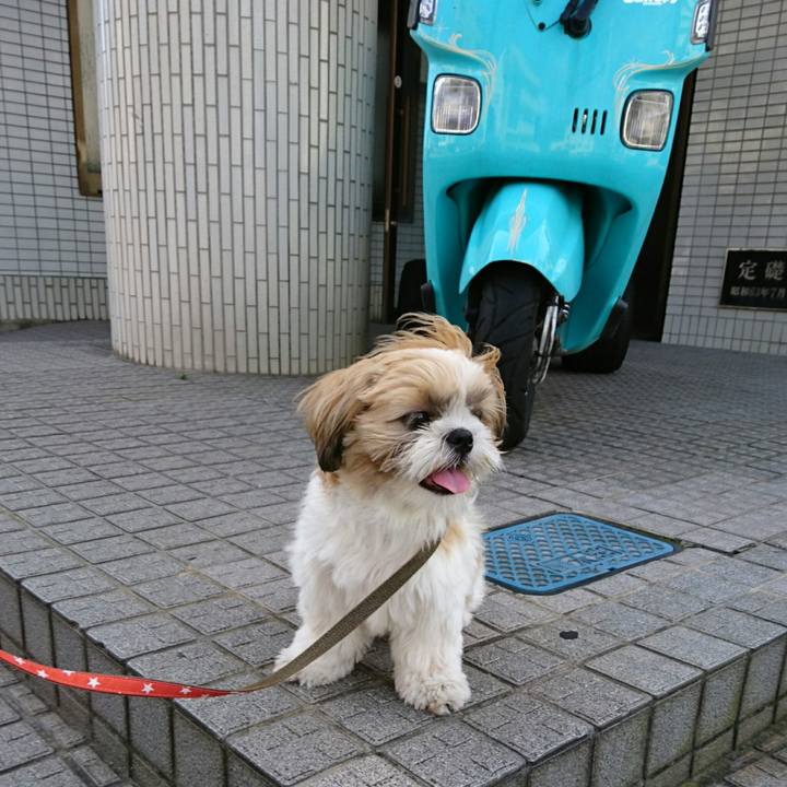 Db45c49a d7f8 4b48 9b43 54cd91bc9954