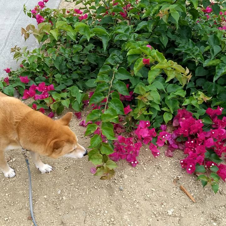 Db466e47 3547 4c75 b823 bd22ee440a53