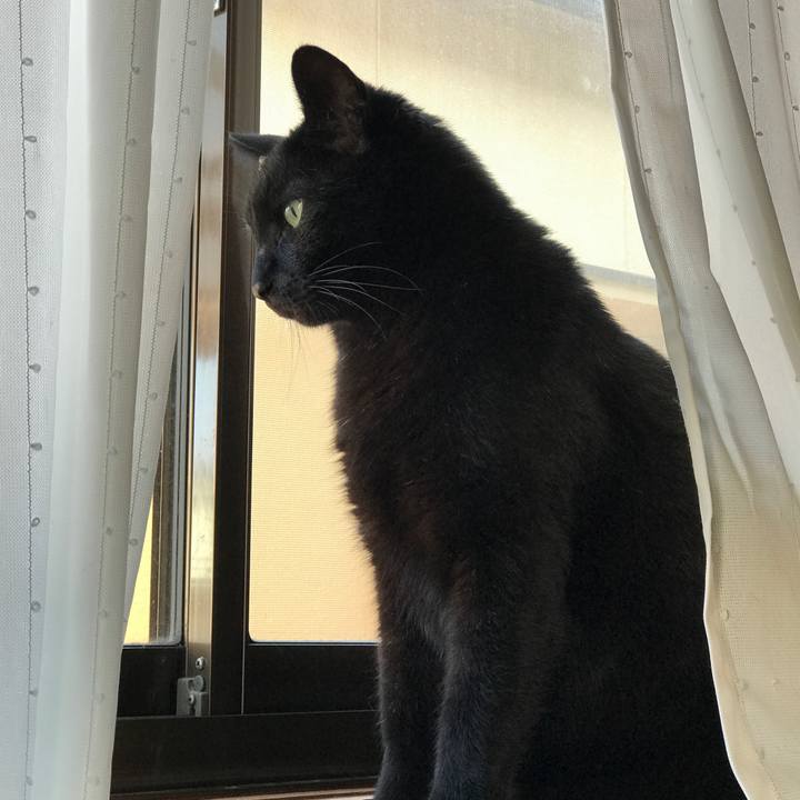 Db471b89 81e4 42a8 a975 83902b8090ab