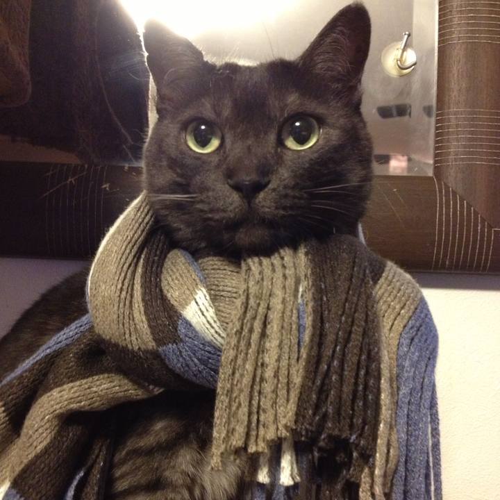 Db472ddb 0f39 4579 b711 40f4d526c929