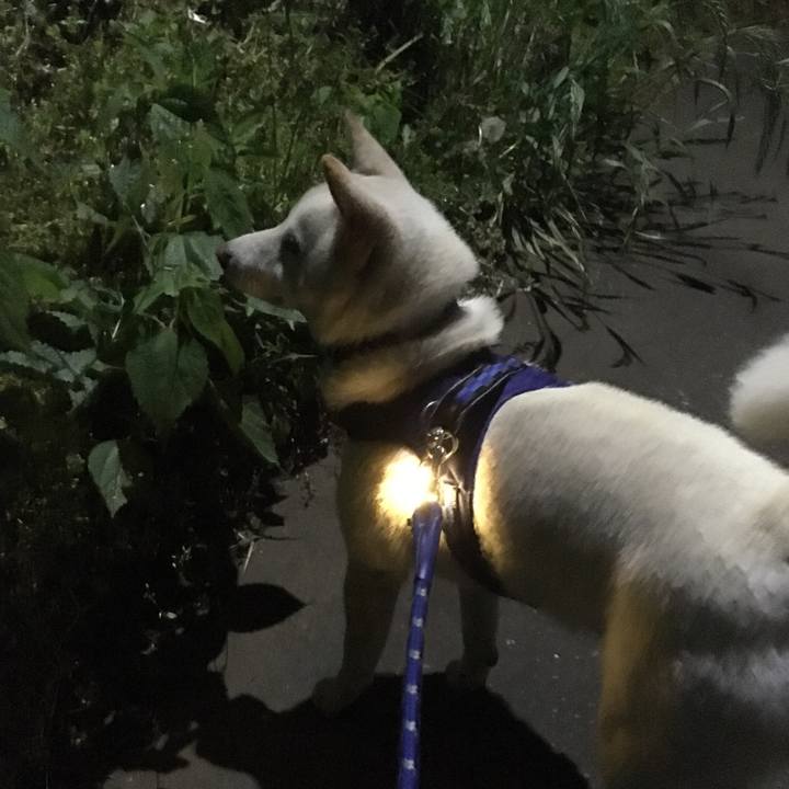 Db473070 c8f3 481e 9306 de2e7036b94c