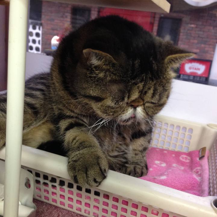 Db475ec7 daf8 411d 96a9 2acdabf3e69c