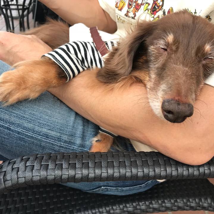 Db4762ed e50e 4335 9e33 d92c25982818