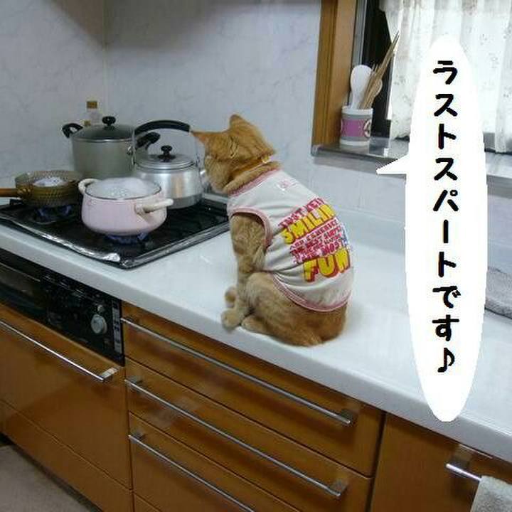 Db47a85c aad8 4ee8 acf2 85d81a41af73