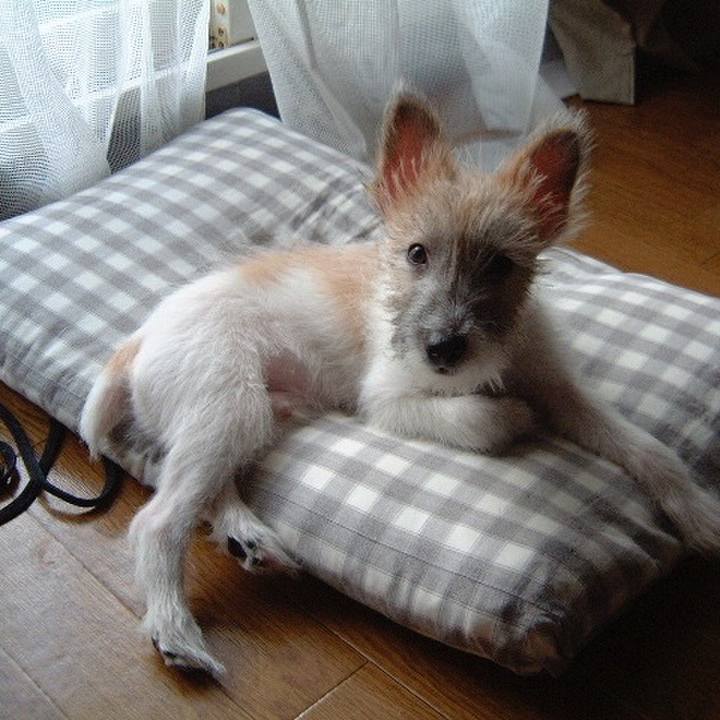 Db47c045 d003 4d08 940b 127b36b5ed1e