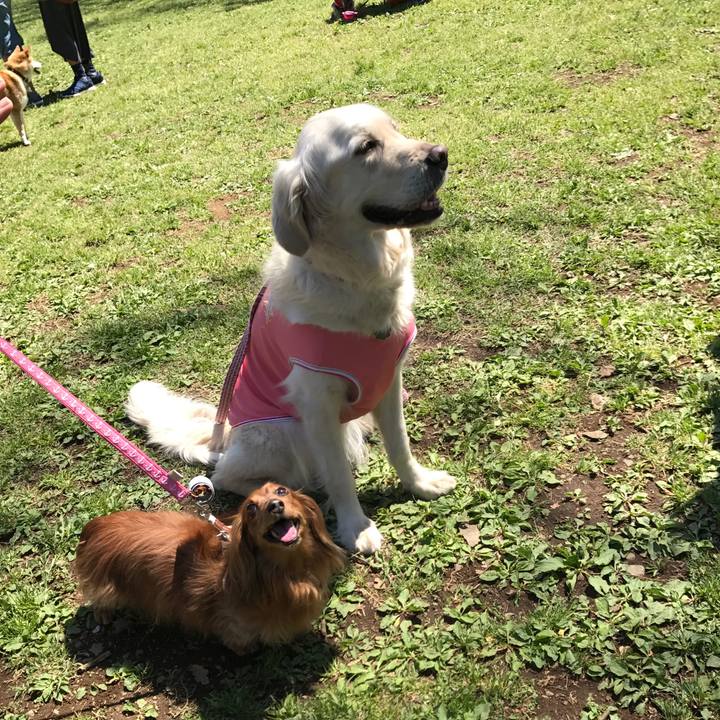 Db48cda6 4dcd 4630 ab33 b391efbf1a47