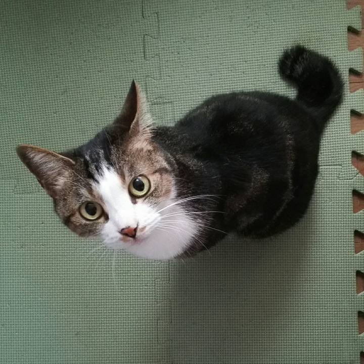 Db48d22c 2f31 4ab3 86d6 5bfb05a62b43