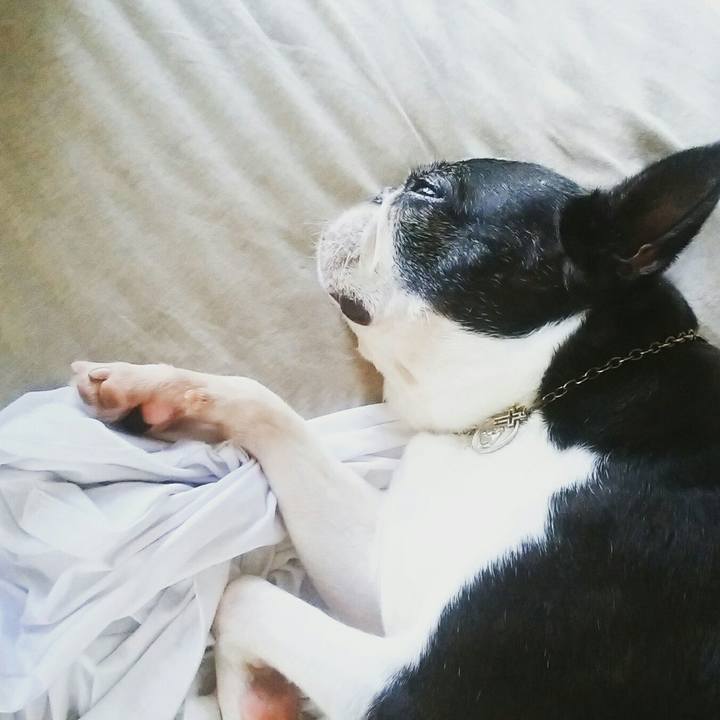 Db48fd32 bb3c 4821 b564 585aa309cfc7