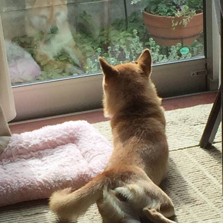 Db497adb b301 45c9 a15d 59ea2126c1f5