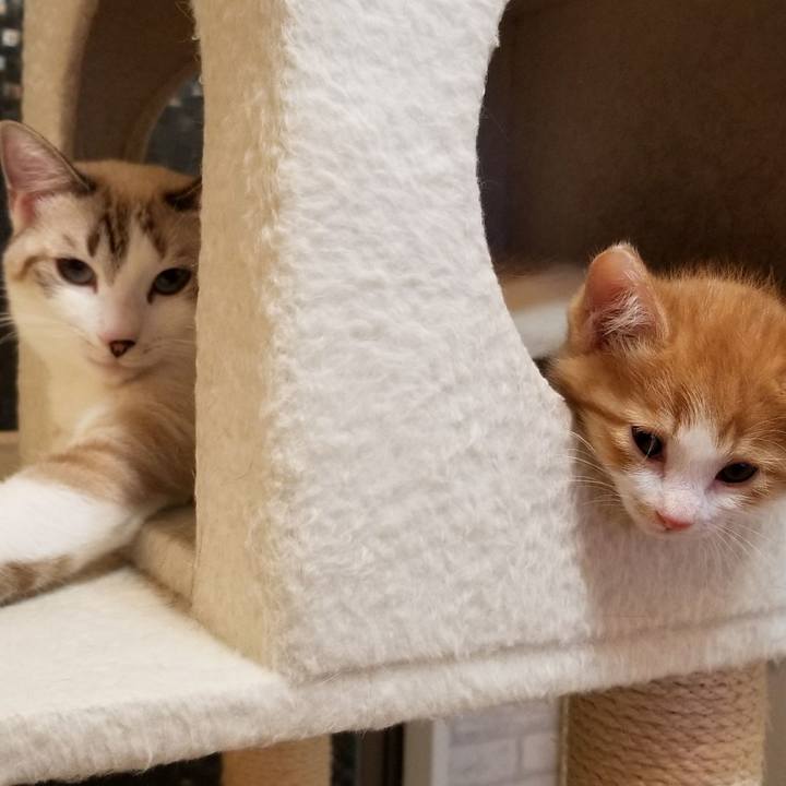 Db49b6f7 ef64 4ba9 b8c5 d2b8ca145798