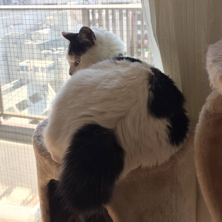 Db49e212 57a9 49b0 a42a 65e7889a0059