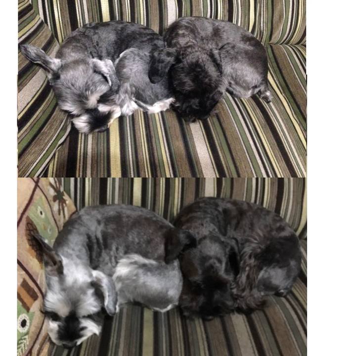 Db4a4599 aee5 444f b1e3 17cf02f962c0