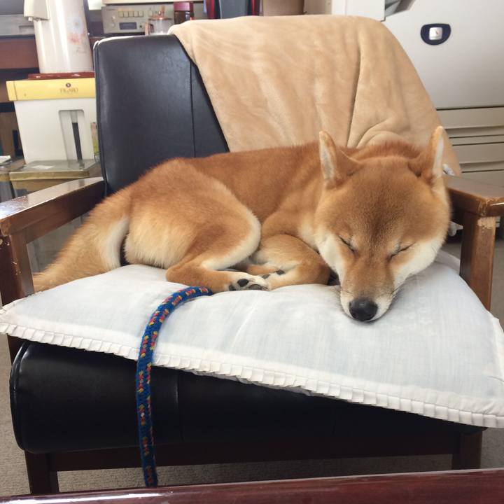 Db4a9ede 0b5b 4d16 ac48 713696a6bdbc