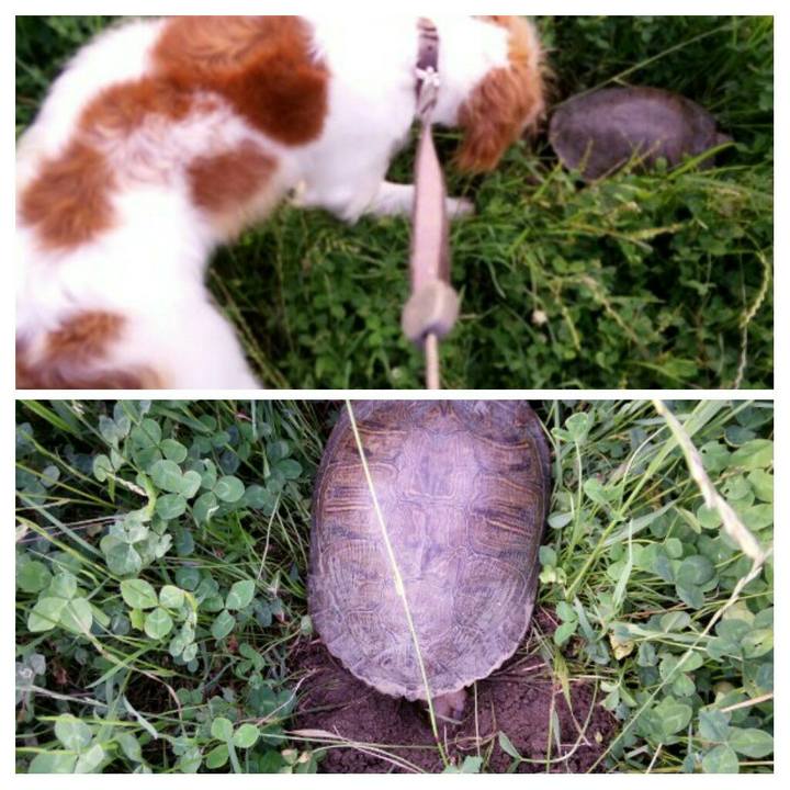 Db4b1c1a 7fe4 4d11 9c01 bc346e3de33f