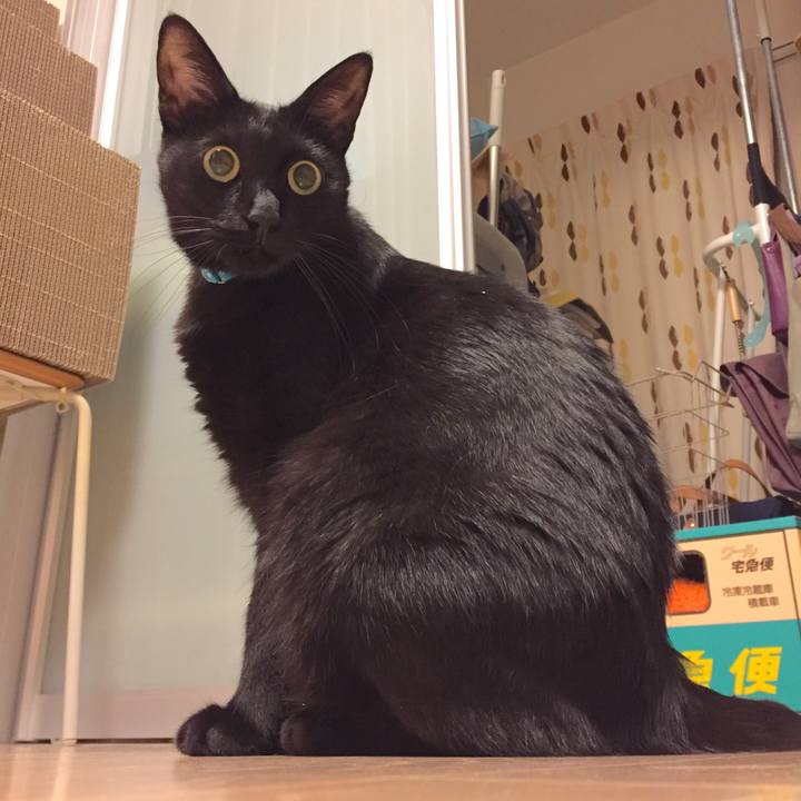 Db4bf1f5 9f7c 468f b958 20a3a5d36c78