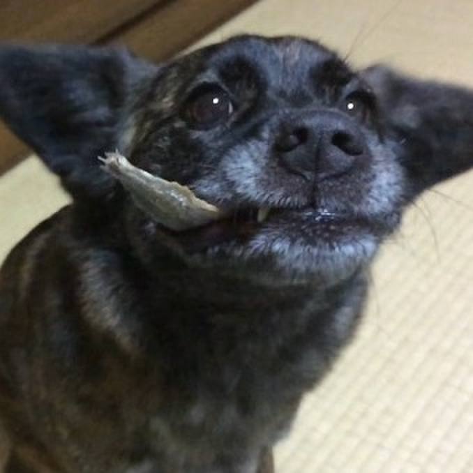 Db4c43ee 2007 4557 bd06 b15bc11832b9