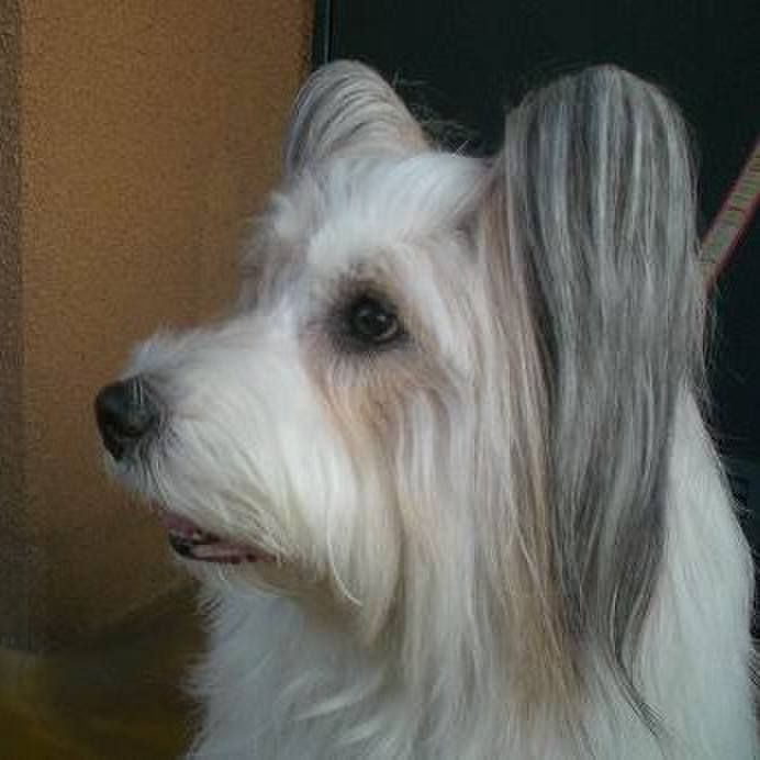 Db4d8c68 4dcb 4c26 8051 22d0285b4184