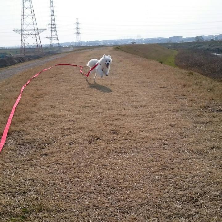 Db4dd494 aadf 42ba b33f 4b7472184768