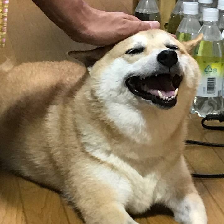 Db4eaed4 972b 4c54 a05d bad76210b9c5