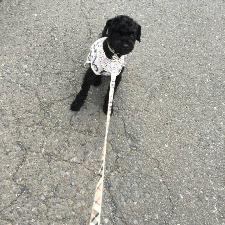 Db4f51c8 3c47 40ee a23f 170449575648