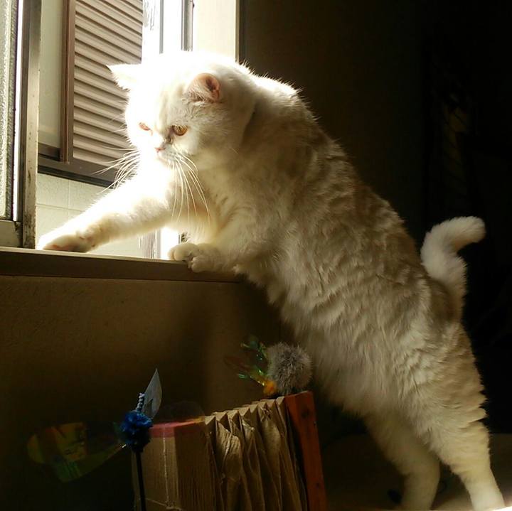 Db4f5721 12ce 45b8 9512 7fe0631a9074