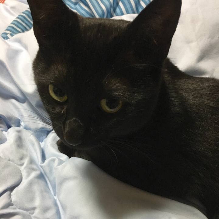 Db4f9dc7 249b 4820 9da0 16528d1ae80c